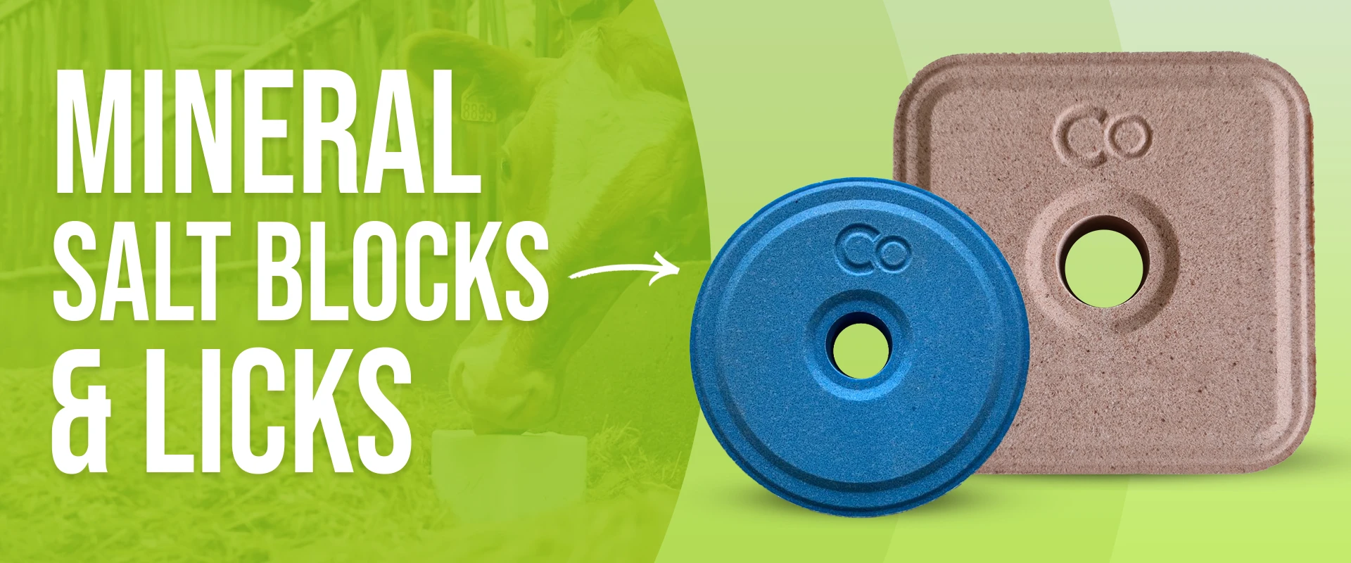 mineral salt block licks